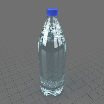 Plastic water bottle 10