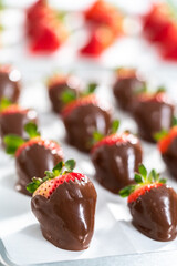 Chocolate dipped strawberries
