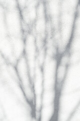 Light concrete wall with tree shadow. Textured backdrop with space for text. Abstract shadows on a sunny day. Vertical photo