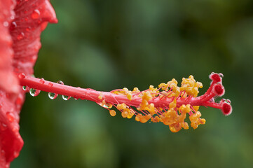 In spring, a joyful and colorful new life is awakened