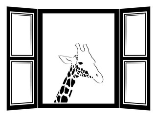 giraffe outside the window © Beta757
