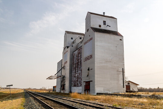 Dual white grain elevators by the tracks. Lashburn, Saskatchewan, Alberta