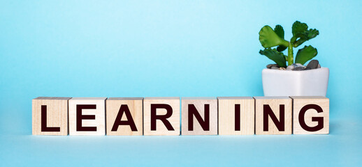 The word LEARNING is written on wooden cubes near a flower in a pot on a light blue background