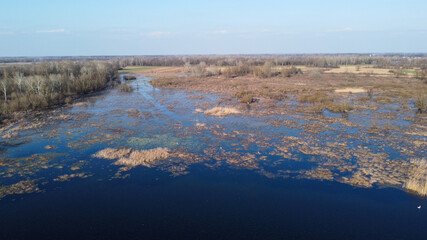 Aerial drone view of swamp in nature. Colorful swampy marsh in winter. Water Lilies, duckweed and Giant reed growing in marsh. 