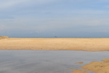 Beautiful shot of an oasis in the desert on the background of the bright sky