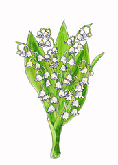 Isolated watercolor drawing of a bouquet of lilies of the valley on white background