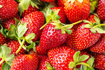 Fresh organic Strawberry fruit background