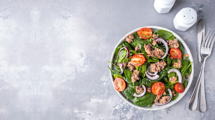 Salad with tuna, spinach and tomatoes. Top view, text space