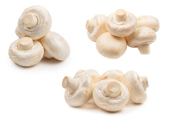 Champignon mushroom isolated on white background.