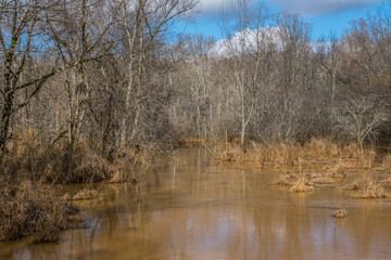 Wetlands in the wintertime