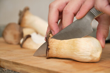 Closeup of man hands cutting king trumpet mushrooms (pleurotus eryngii). Ingredient preparation concept.