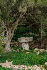 Torrellafuda, Taula shrine-enclosure,  Talayotic town, Ciutadella, Menorca, Balearic Islands, Spain