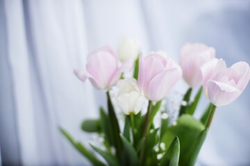 flowers for Women's Day, March 8