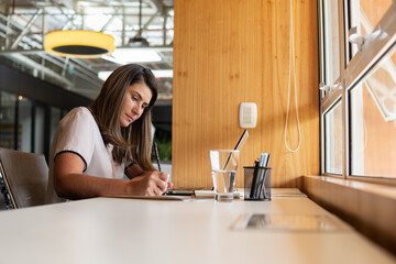 braziian woman writing in workstation. .
