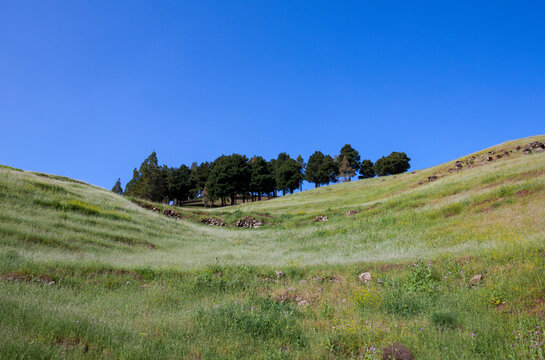 landscape of Monte Pav&oacute;n in Gran Canaria, Spain