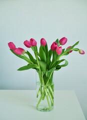 Bouquet pink tulips in glass vase stands on table on gray background. Easter day, March 8, women's day, birthday, gift, flowers for woman. Easter and spring greeting card Floristry Florist