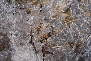 .on the frozen puddles in the spring there is a layer of water where