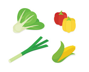 Vegetables set. Isometric vector illustration in flat design.