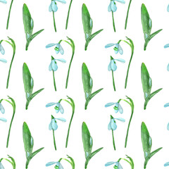 Snowdrop flowers in open and close form.Botanical watercolor floral pattern.Blue flowers isolated on white background.For wrappers,wallpapers,postcards,greating cards,wedding invintation.
