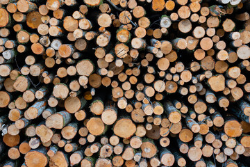 trees are cut into pieces and stacked in a large pile where their ends can be seen
