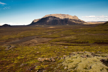 landscape in the morning