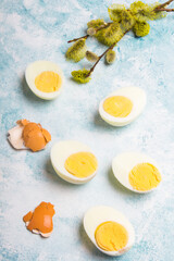 Easter background with hard boiled egg and catkin twigs, copy space
