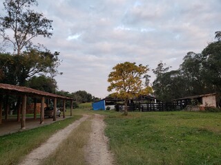 Fazenda
