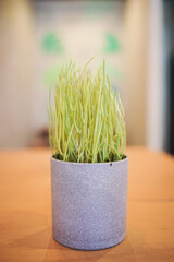 Green plastic plant in ceramic pots are placed on a wooden table