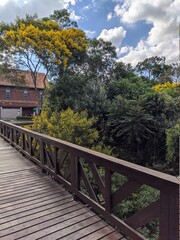 Obraz premium wooden bridge in the forest