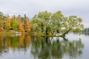 Sightseeing of Saint Petersburg. Picturesque Park in autumn in Gatchina town, a suburb of Saint Petersburg, Russia