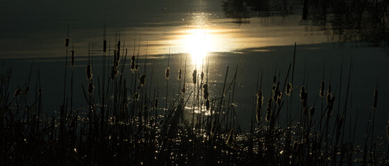Wschód słońca nad jeziorem. Stawy Milickie, Dolina Baryczy, Polska.