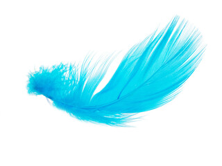 Delicate elegant blue feather isolated on the white background