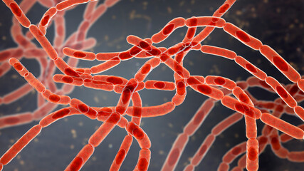 Bacteria Bacillus anthracis - obrazy, fototapety, plakaty