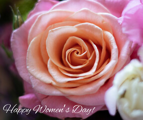 card with pink rose "Happy Women's Day"