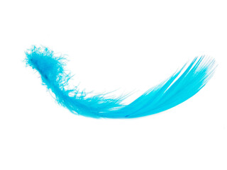 Delicate elegant blue feather isolated on the white background