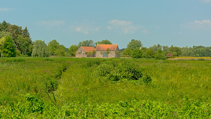 
Download preview
Old farm in a sunny green field with trees under a clear blue sky in...