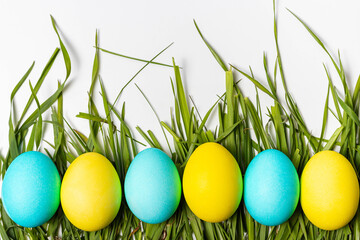 Colorful Easter eggs on fresh green grass isolated on white background. Easter symbol, wallpaper template, close-up, copy space