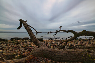 Am Brodtener Steilufer Ostsee