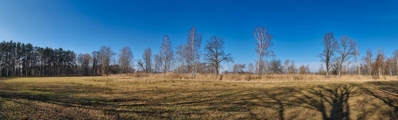 Panorama z polaną pod lasem