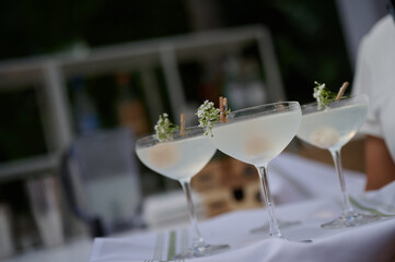 Focus on four glasses of cocktails on a tray, garnished with herbs
