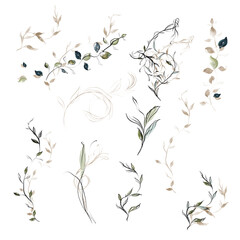 Graceful Greenery, Delicate climbing wild plants, Wedding twigs, Bohemia and luxury plants