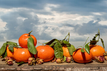 Fototapeta na wymiar Tangerines with leaves on a background of the sky with clouds on rustic wood