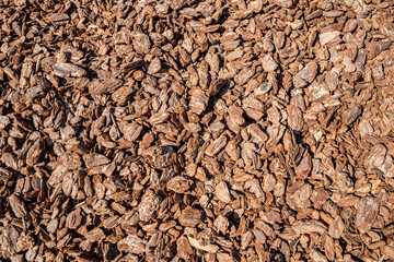 Background of bark mulch