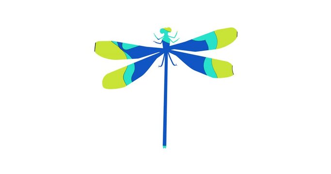 Blue dragonfly animated with colorful content. And a smooth appearance in the second animation.