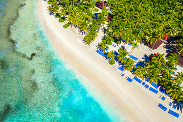 Fototapeta na wymiar Paradise tropical island nature background. Top aerial drone view of beautiful beach with turquoise sea water and palm trees. Saona island, Dominican republic.