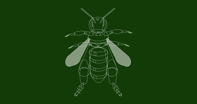 Animation in the form of a linear drawing of a red, wild, honeybee. The bee is not only drawn, but also decorated. After that, it is also gradually erased.