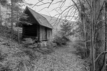D&Ouml;RRHAUS .  D&Ouml;RR&Uuml;TTE . FRUIT KILN