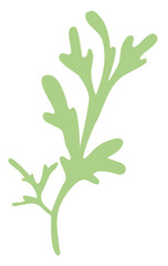 A sprig of Icelandic moss green on a white background