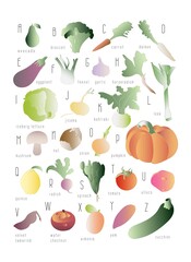 ABC English colorful food alphabet. Fruits, vegetables, nuts. Vegetarian, vegan, healthy food. Hand drawn. Learn the English alphabet. Vocabulary. Isolated on white. Vector illustration.