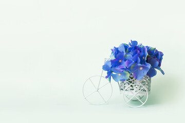 blue hyacinth in a vase